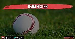 Tivy Antlers Baseball Roster - Kerrville, TX
