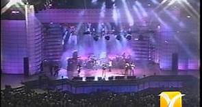 Los Pericos, Grandes éxitos, Festival de Viña 1995