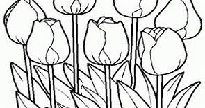Tulipanes en el campo para colorear, pintar e imprimir