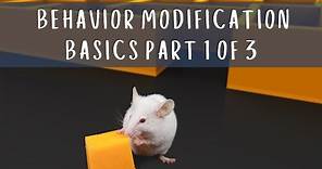 Behavior Modification Basics | Part 1 of 3