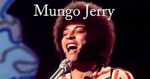Mungo Jerry - Greates Hits - Megamix 1Hour