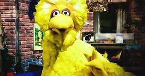 Obama Campaign Ad: Big Bird a Criminal Mastermind