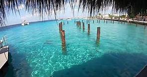 Bonaire Is Incredible, The Dutch Caribbean Islands