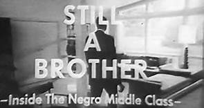 Still a Brother: Inside the Negro Middle Class