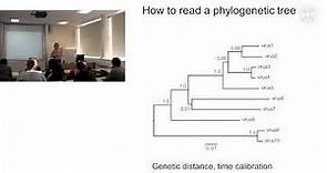 1. Phylogenetic analysis of pathogens(lecture - part1) -