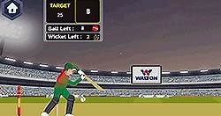 T20 Cricket | Play Now Online for Free - Y8.com
