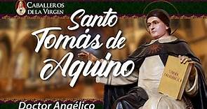 Santo Tomás de Aquino: La historia del más sabio de los santos. Caballeros de la Virgen