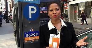 NYC Parking Tickets: Pay or Dispute App - How it Works