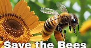 Save the Bees - Why It's Crucial and Ways You Can Help