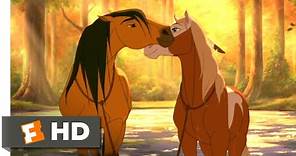 Spirit (2002) - Horses in Love Scene (5/10) | Movieclips