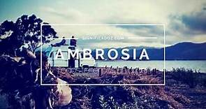 AMBROSIA - Significado del Nombre Ambrosia ♥
