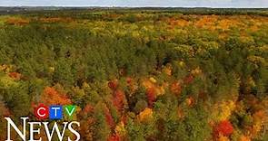 Beautiful scenes of fall foliage in Ontario