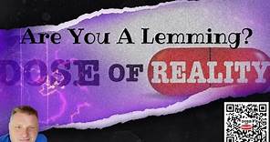 Are You A Lemming? Fearful Fantasies Of The Self Proclaimed Awakened Souls
