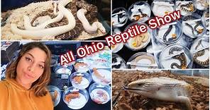 HUGE REPTILE EXPO 🐍🦎 | ALL OHIO REPTILE SHOW 2022 | Reptile Expo Vlog | Snakes, Geckos, & More!!