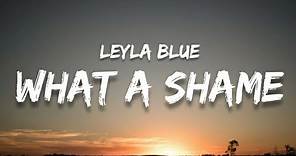 Leyla Blue -What a shame (lyrics)