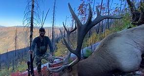 My Biggest Bull Elk Yet!!!! Backcountry Idaho Elk Hunt | S7E12| Limitless Outdoors