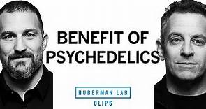 The Utility of Psychedelics | Dr. Sam Harris & Dr. Andrew Huberman