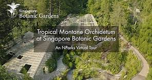 Tropical Montane Orchidetum at Singapore Botanic Gardens | An NParks Virtual Tour