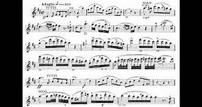 Rode, Pierre violin concerto no.10 in B minor op.19 by Friedemann Eichhorn