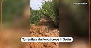 Spain floods: Three dead and three missing after torrential rain