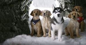 Snow Buddies. Supercuccioli sulla neve, cast e trama film - Super Guida TV