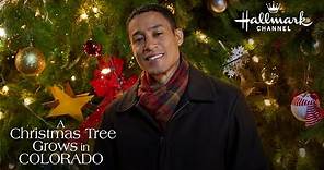 Preview + Sneak Peek - A Christmas Tree Grows in Colorado - Hallmark Channel
