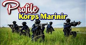 PROFILE KORPS MARINIR TNI AL