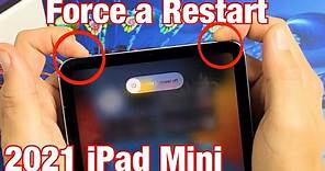 iPad Mini 2021: How to Force a Restart (Forced Restart)