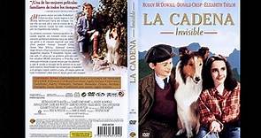 Lassie, la cadena invisible *1943*