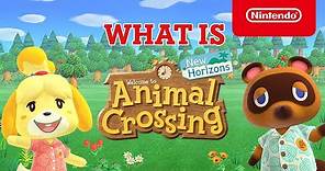 What is Animal Crossing: New Horizons? (Nintendo Switch)