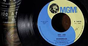 Wonderlick - Hey, Joe ...1973