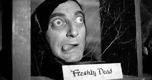 68. Young Frankenstein (1974)