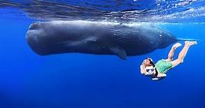 BIG SPERM WHALES Swimming with Little Kids! Underwater Bucket List Family Adventure in Mauritius!