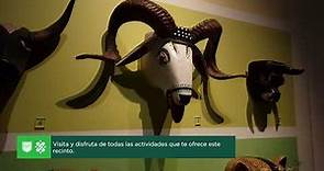 Museo de Arte Popular en la Ciudad de México