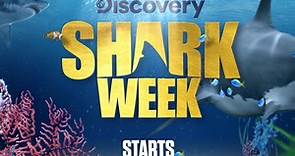 Shark Week Starts TONIGHT | Shark Week