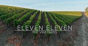 Eleven Eleven | Vineyards Trailer