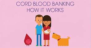 Cord Blood Banking and How It Works | Cord Blood Registry