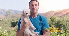 Lucky Dog - Today on Lucky Dog: Reunions, Brandon is...