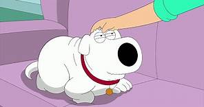 Family Guy - Cat Brian