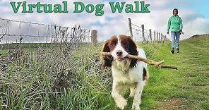 Dog Walking TV - Virtual Dog Walk - Coastal Path