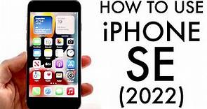 How To Use Your iPhone SE (2022)! (Complete Beginners Guide)