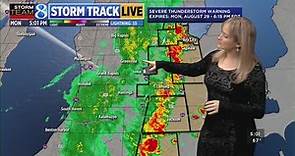 Storms move through West Michigan, cause power outages