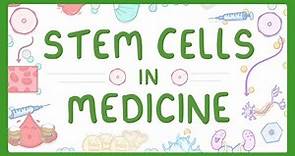 GCSE Biology - Stem Cells in Medicine