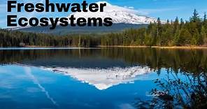 Freshwater ecosystem types