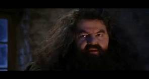 Harry Potter e la Pietra filosofale -- L'arrivo di Hagrid - Clip de film