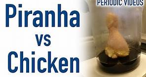 Chicken Leg in Piranha Solution - Periodic Table of Videos