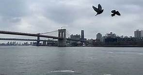 Brooklyn Bridge and the East River - NewYork 2024
