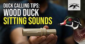 Wood Duck Calling Tips: Sitting Sounds
