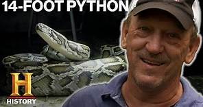 Swamp People: Serpent Invasion: 24 SNAKES CAUGHT in Python Hunting Competition (Season 2) | History