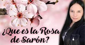 LA ROSA DE SARON?//CUAL ES EL SIGNIFICADO BÍBLICO //SARON